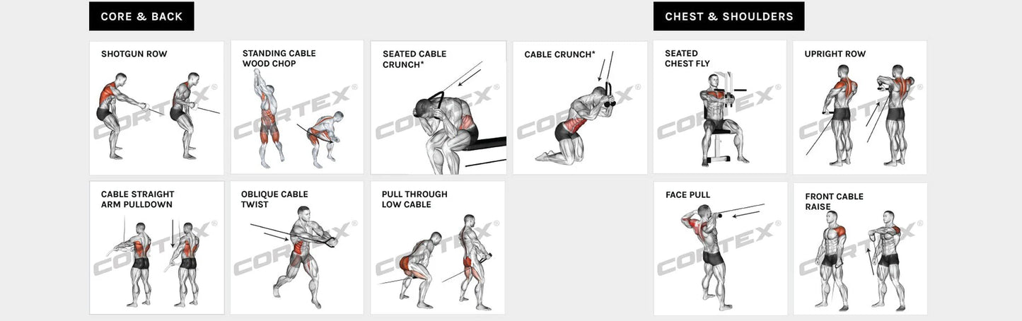 SS3 Home Gym with Integrated Front/Rear Fly