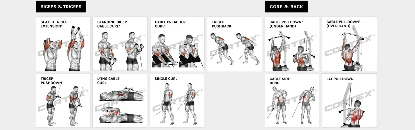 SS3 Home Gym with Integrated Front/Rear Fly