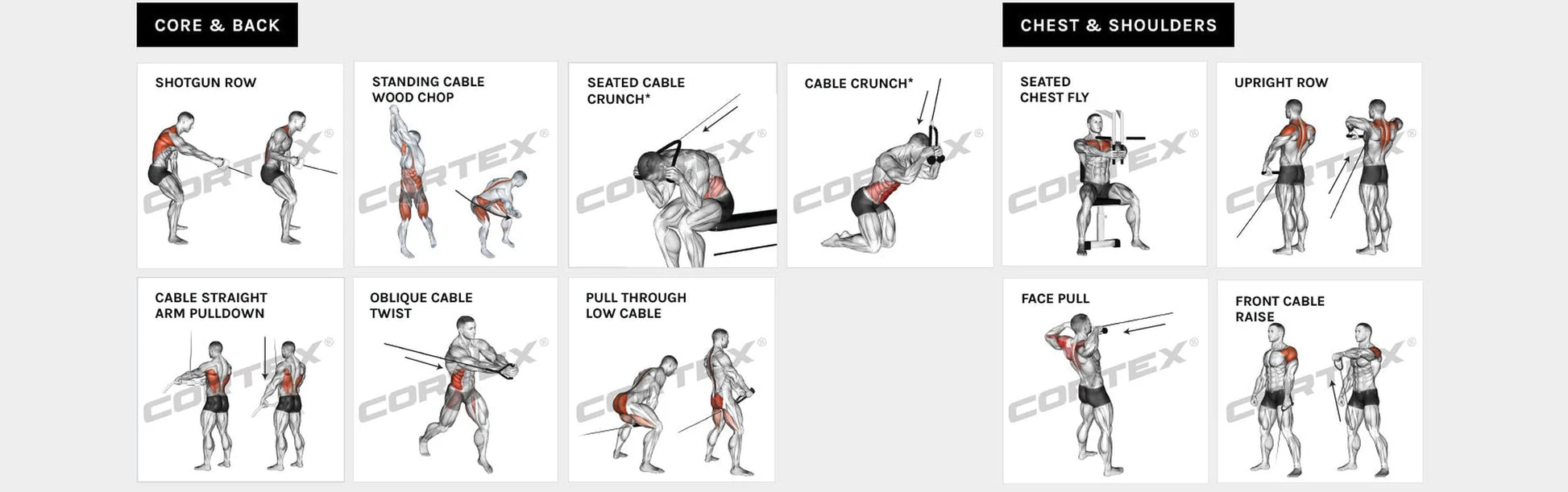 SS3 Home Gym with Integrated Front/Rear Fly