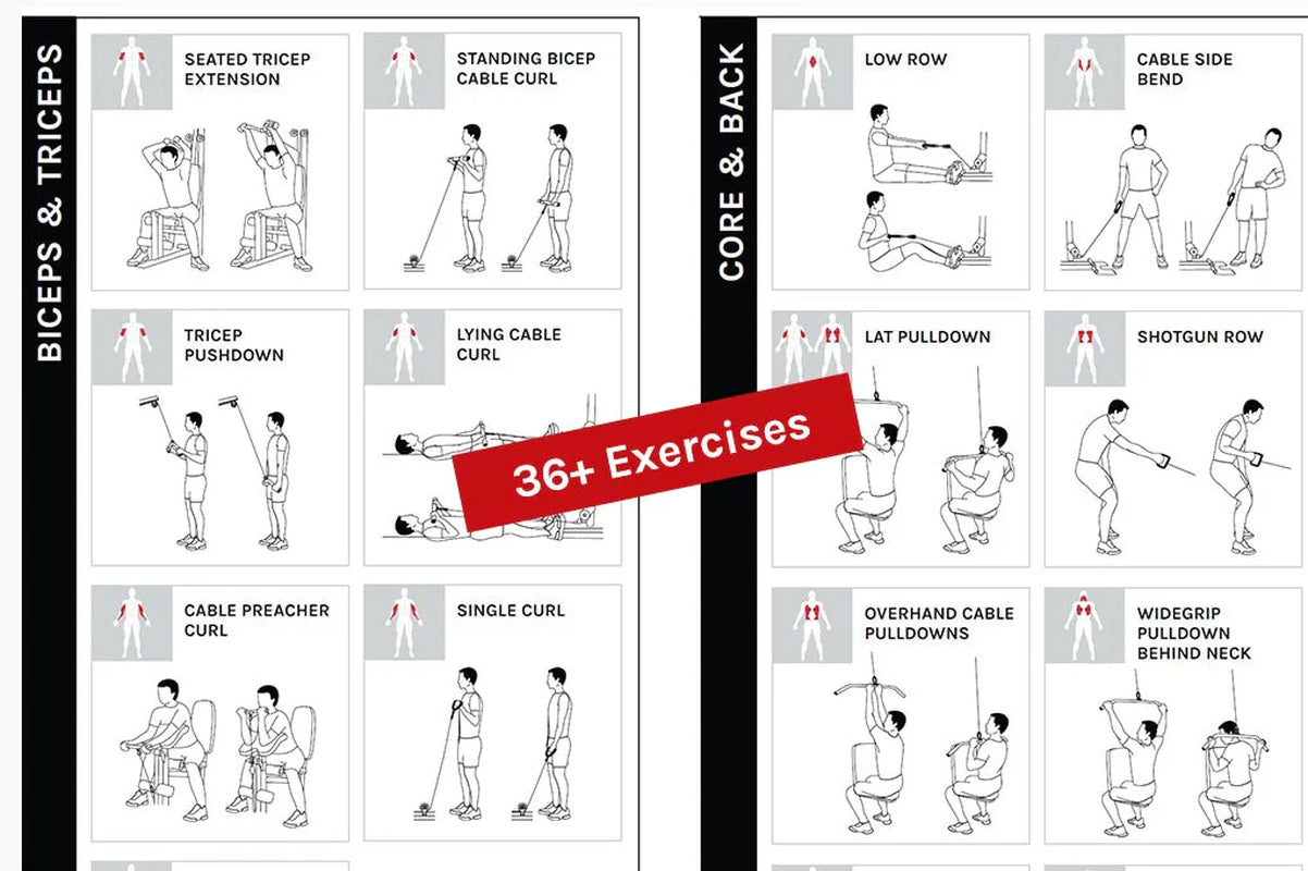 SS3 Home Gym with Integrated Front/Rear Fly