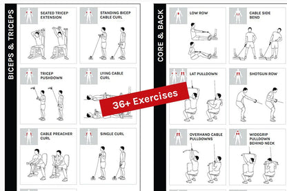 SS3 Home Gym with Integrated Front/Rear Fly