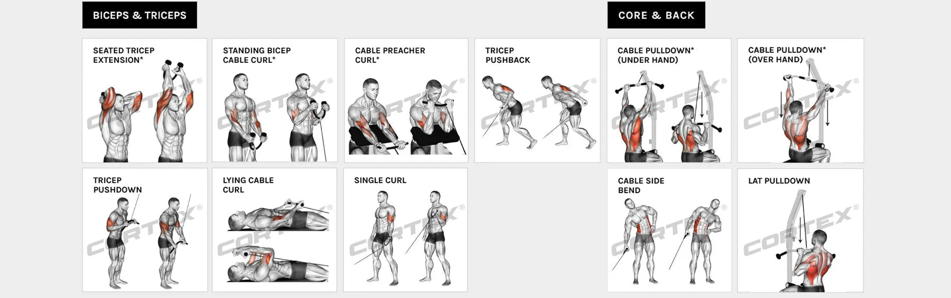 SS3 Home Gym with Integrated Front/Rear Fly