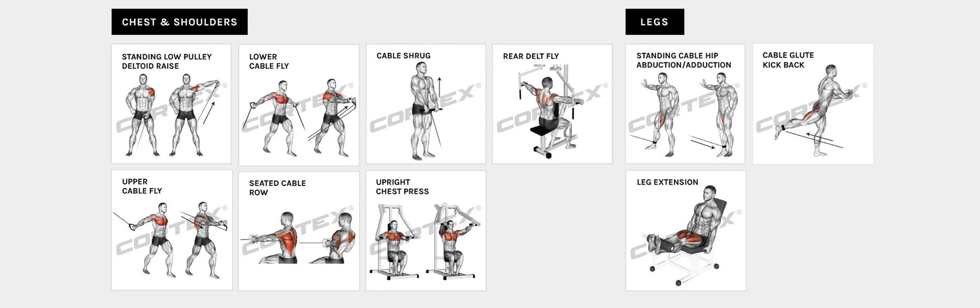 SS3 Home Gym with Integrated Front/Rear Fly