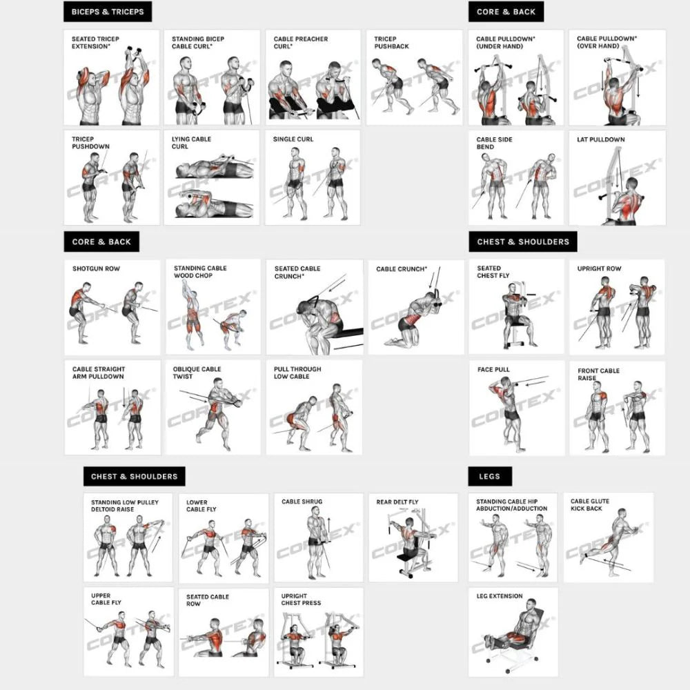 SS3 Home Gym with Integrated Front/Rear Fly